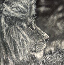 Stealthy by Valerie Simms - Original Drawing on Mounted Paper sized 16x16 inches. Available from Whitewall Galleries