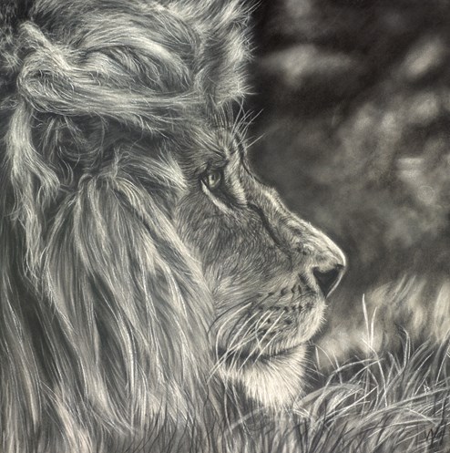 Stealthy by Valerie Simms - Original Drawing on Mounted Paper